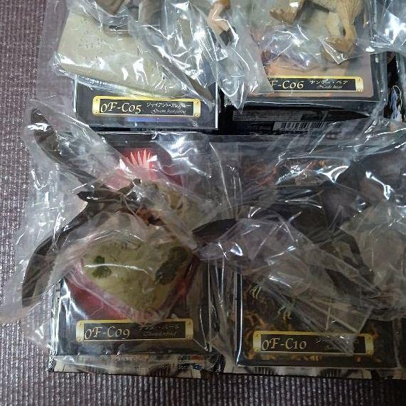 Amazon.co.jp: 大神秘博物館 DX ノーマルコンプリート12種 +